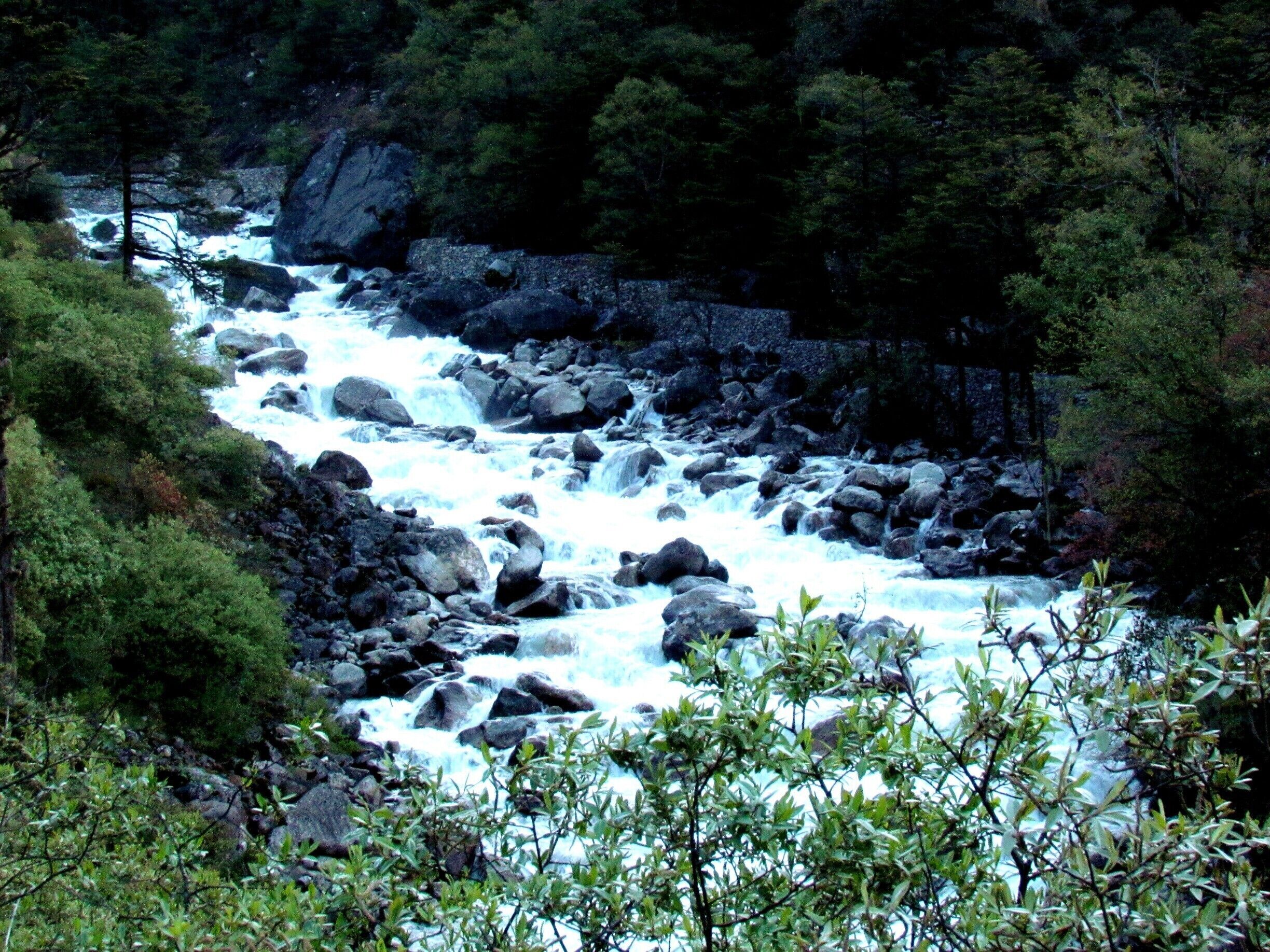 A River in Sikkim