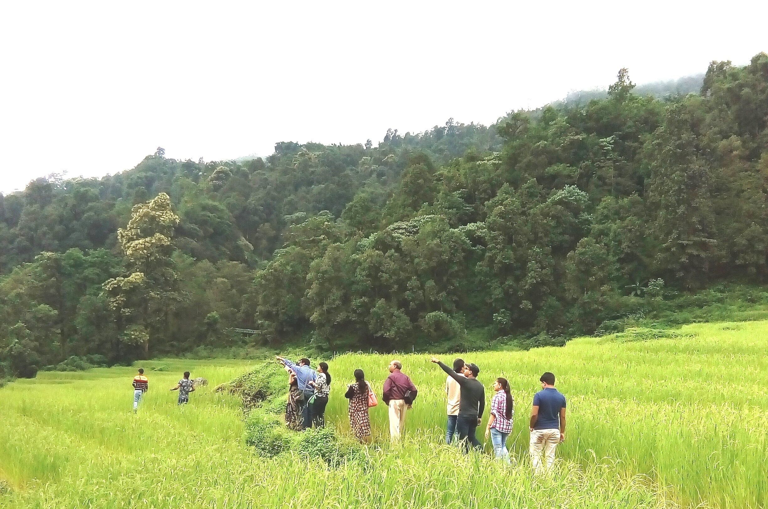 ROLEP STEP CULTIVATION