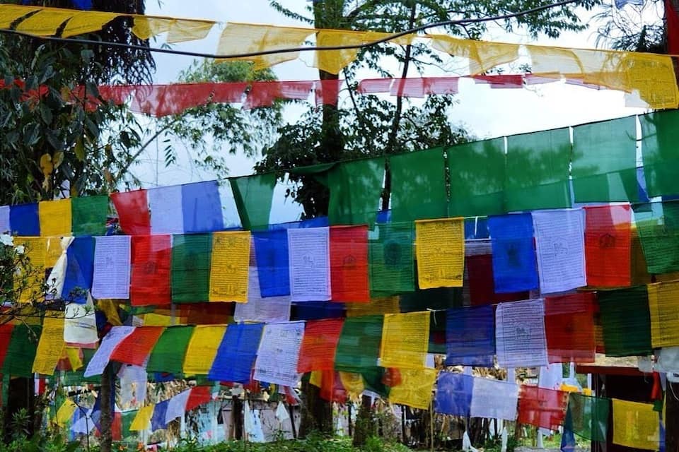 Colorful prayer flags strung between trees in a natural setting.