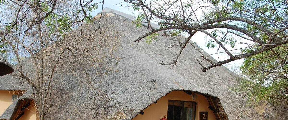 A thatched-roof hut with a door and windows, surrounded by trees and a paved area.