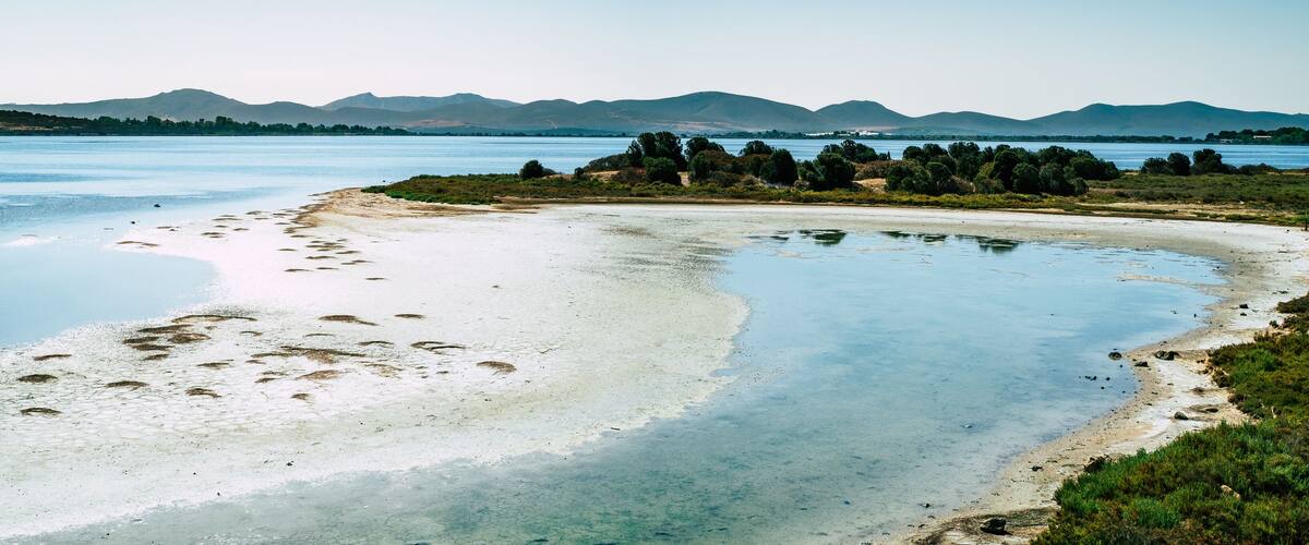 A river with a sandy beach and a forested area with mountains in the background.