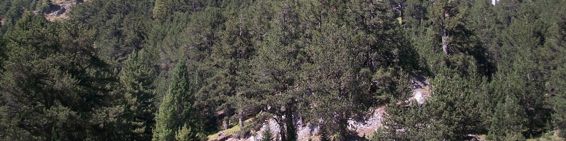 A beautiful summers day on the mountains outside Bansko, Bulgaria