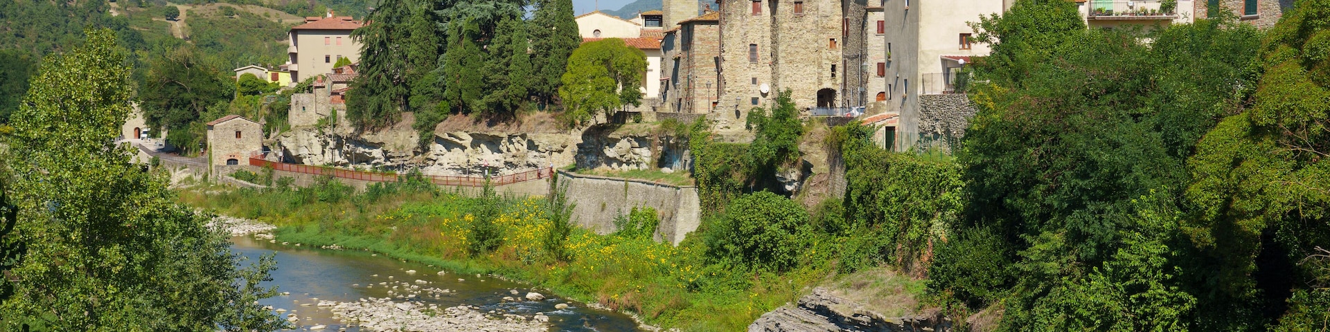 A river flowing through a town with historic buildings and a tower.