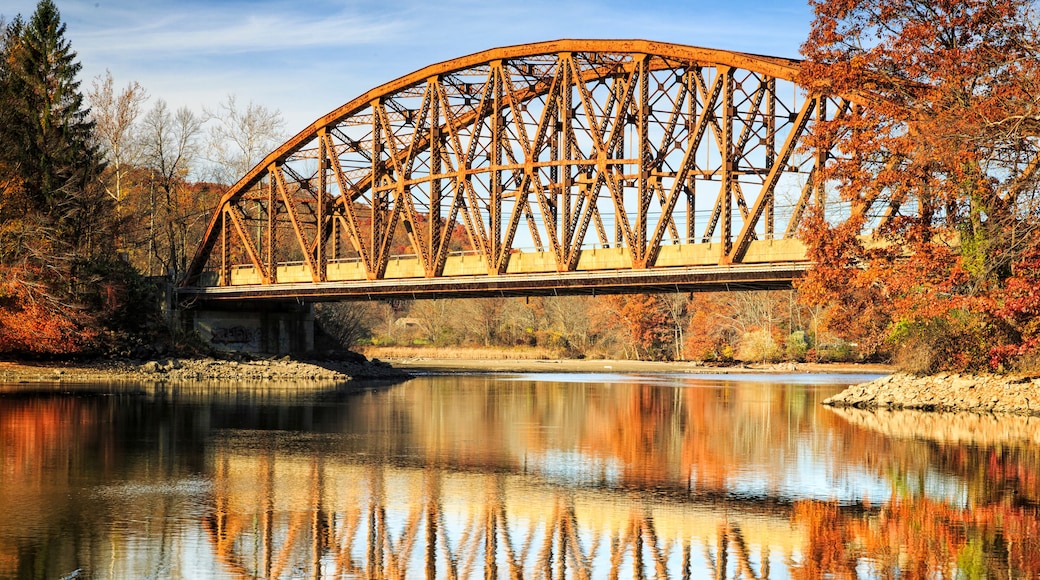 Un puente de acero sobre un río tranquilo con follaje otoñal.