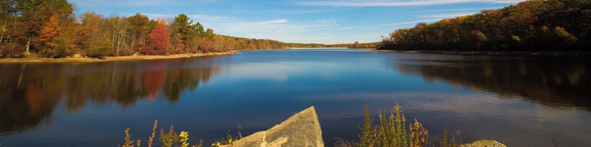 This is a great place to see the leaves turning in Fall. This picture was taken on a moving car without any setup.
#BvSApplication