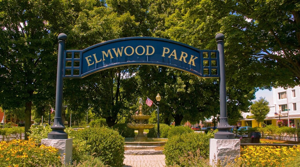 Danbury which includes a fountain, a park and signage