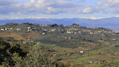 Panorama da Artimino
