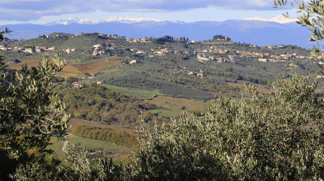 Panorama da Artimino