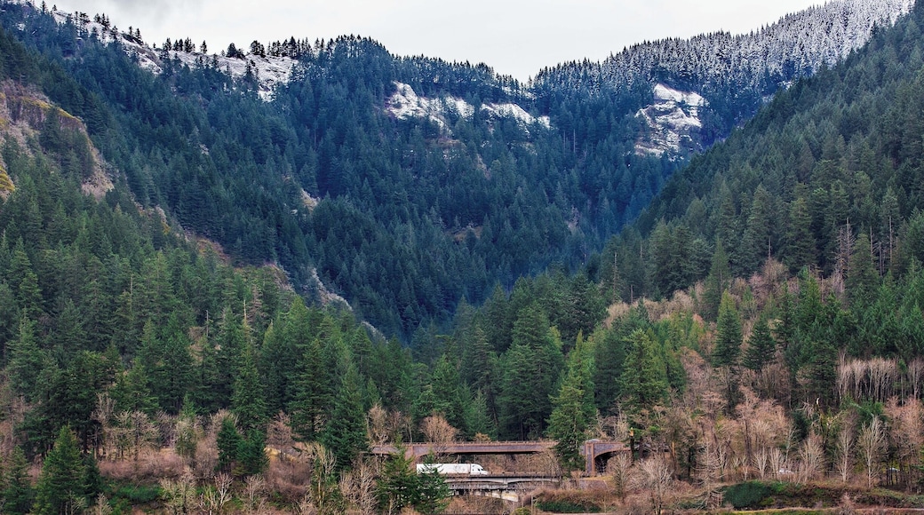 The two levels of Interstate I-84, east and west-bound along with a railroad bridge appear briefly through the cleft between a pair of mountains on the Oregon side of the Columbia River.