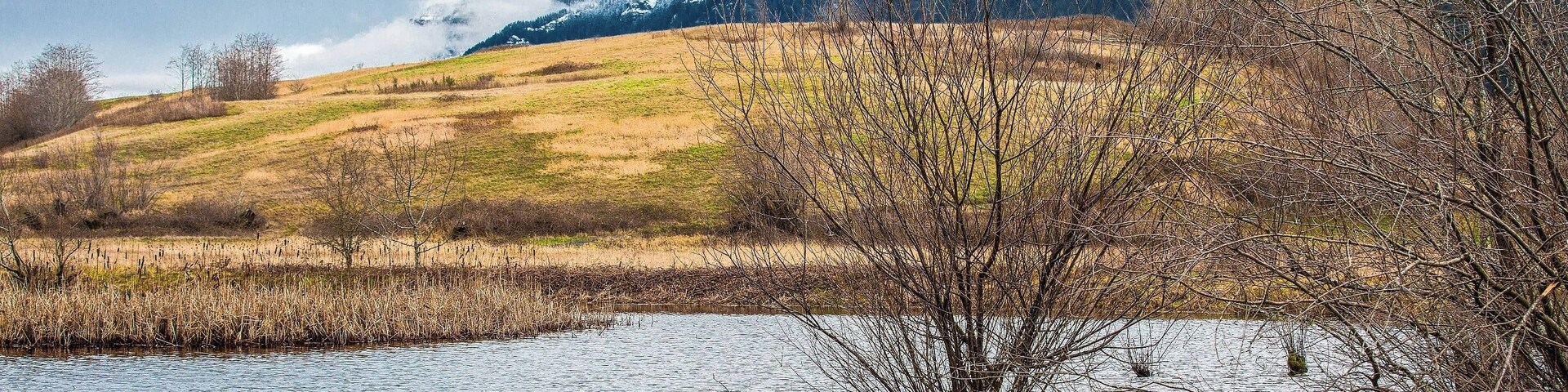 Looking west-southwest across the island to the peaks on the Oregon side of the Gorge.