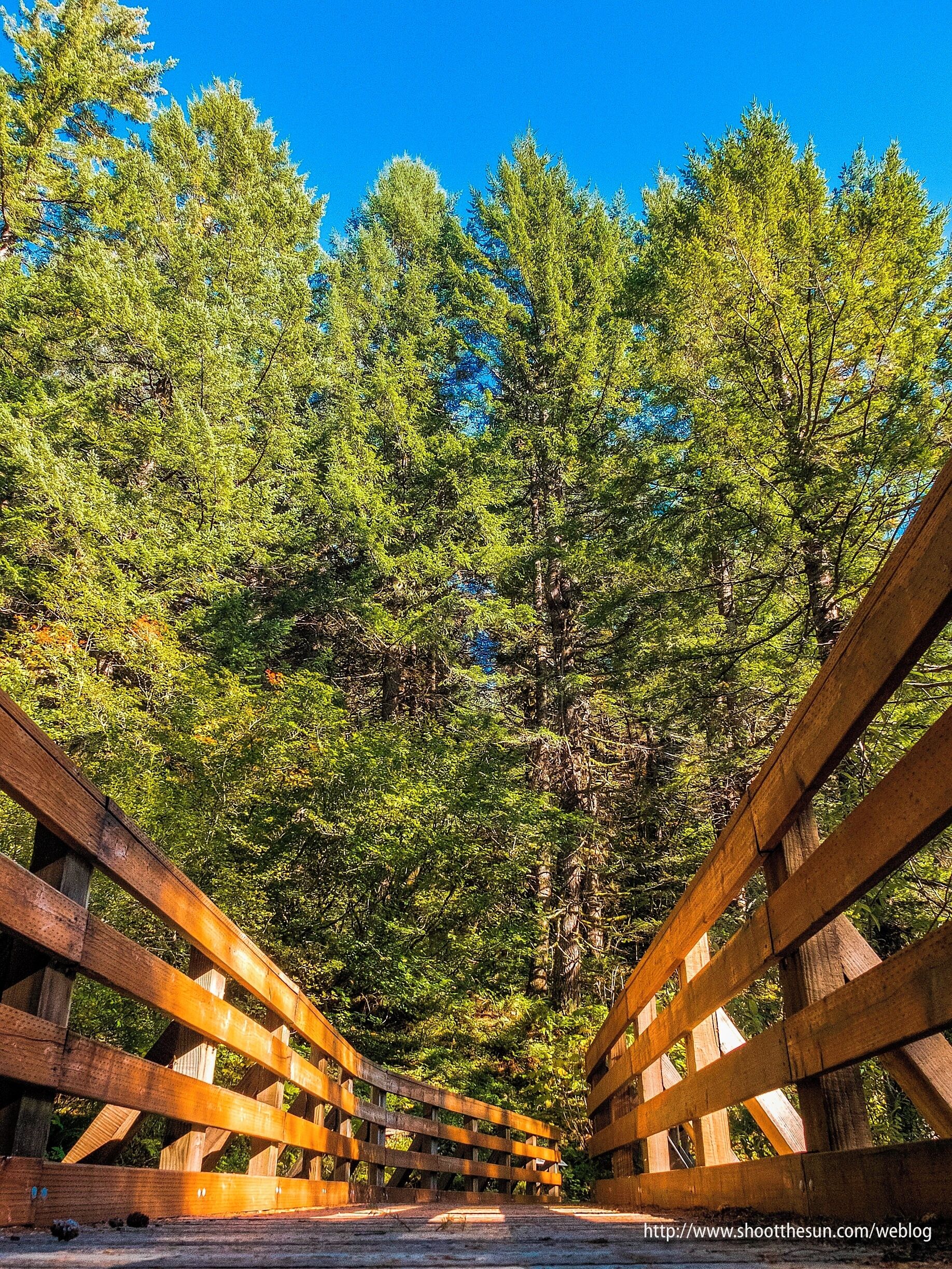 Flying into Hobart?  Not far from the airport is Sullivans Cove Distillery where you can find the Worlds Best Single Malt Whiskey, as judged by an international team.  Also, why not pick up the cream whiskey liqueur or some gin.  Friendly and informative service had me intrigued about the history of the barrels.  