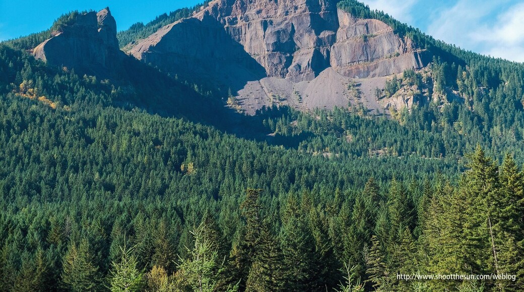 From the Bonneville Trail, a spur of the PCT