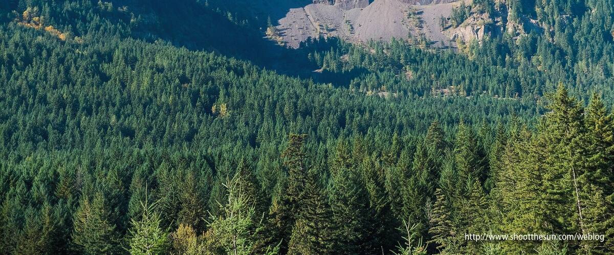 From the Bonneville Trail, a spur of the PCT