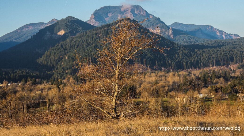 The Table Mountain complex, as seen from Strawberry Island.