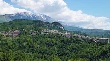 A town nestled in a valley with a snow-capped mountain in the background.
