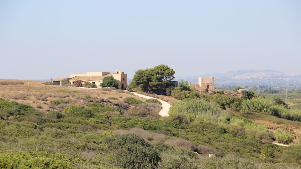 A rural landscape with a dirt path, a large tree, and two buildings.