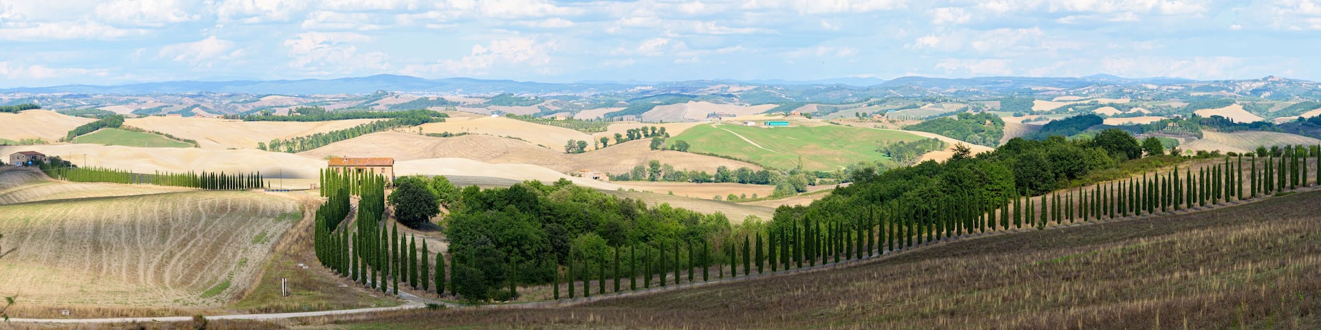 Typical Tuscany landscape in summer, with cultivated fields and wine yards, poplar trees and old farm buildings in a hill and valley landscape, near Montepulciano and Montalcino, Val d'Orcia, Italy