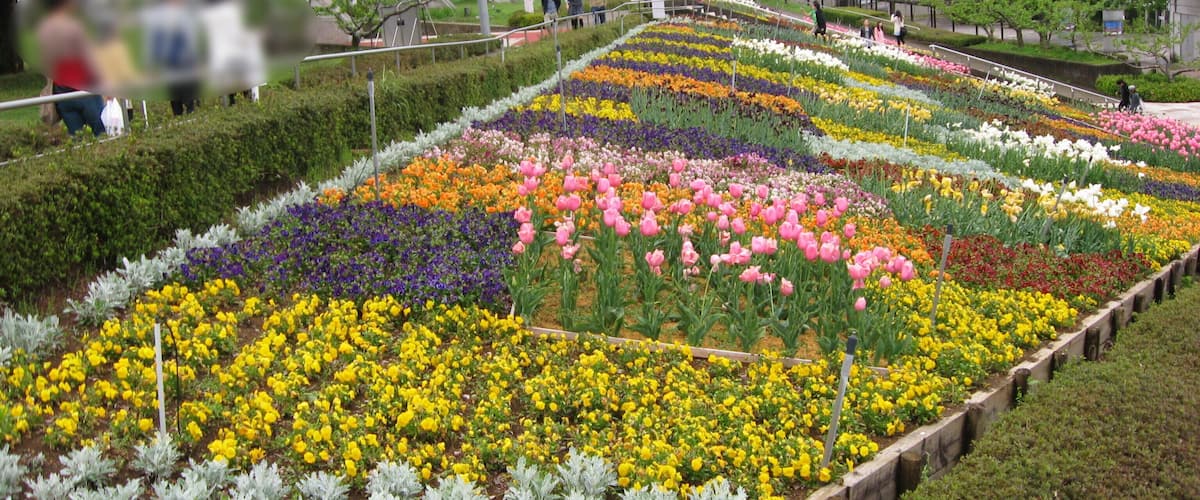 笛吹川フルーツ公園