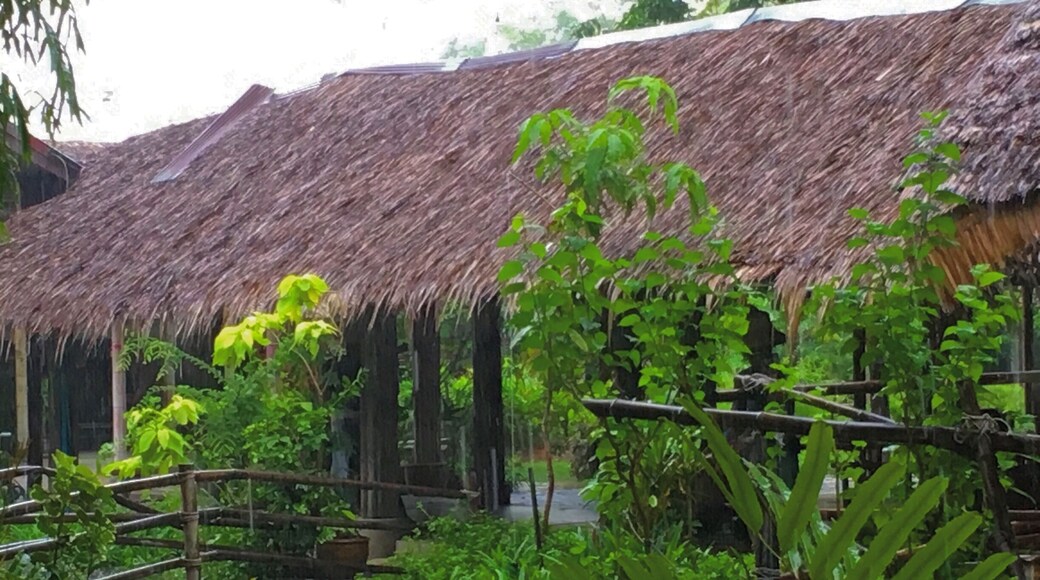 Greetings from Thailand - it was raining on this day, but beautiful landscape at the Rose Garden Cultural Center.