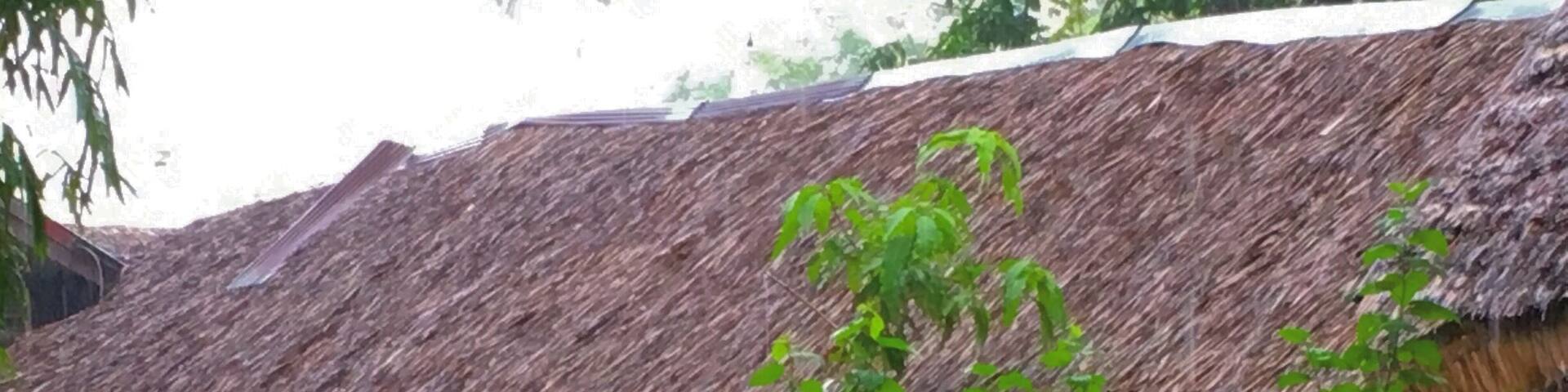 Greetings from Thailand - it was raining on this day, but beautiful landscape at the Rose Garden Cultural Center.