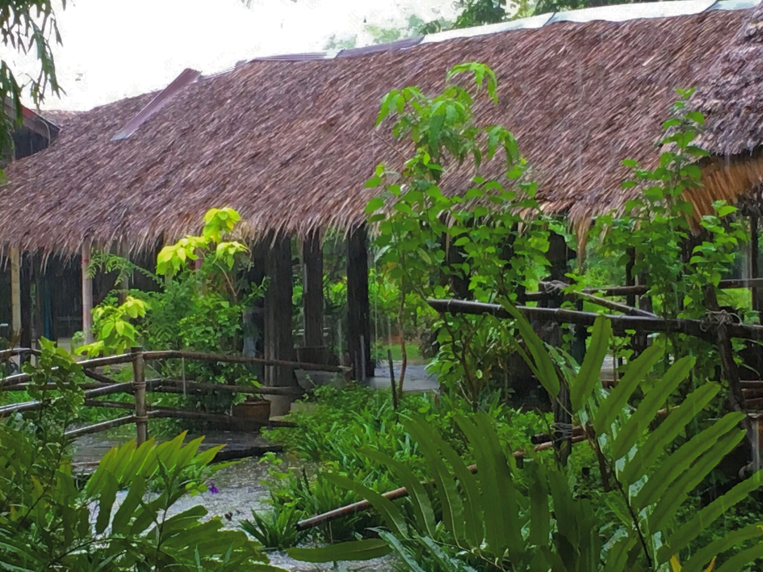 A thatched-roof structure surrounded by lush greenery and a small water feature.