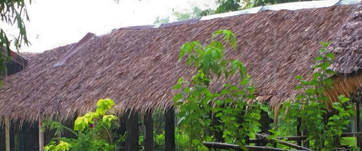 A thatched-roof structure surrounded by lush greenery and a small water feature.
