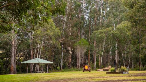 Maryvale featuring a garden