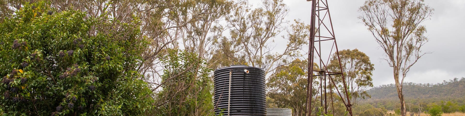 A windmill, a water tank, and a rural landscape with trees.