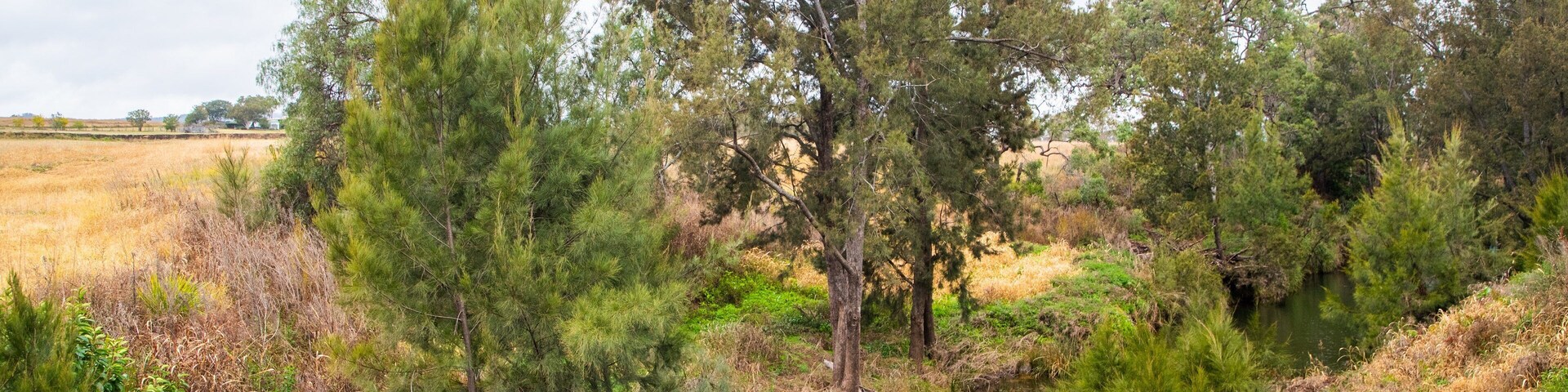 Maryvale which includes tranquil scenes