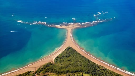 Parrita