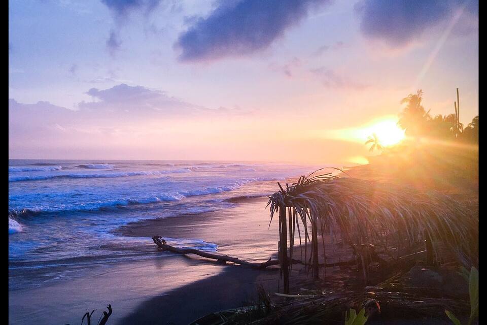 A beach at sunset with waves, a palm tree, and a sunset in the background.