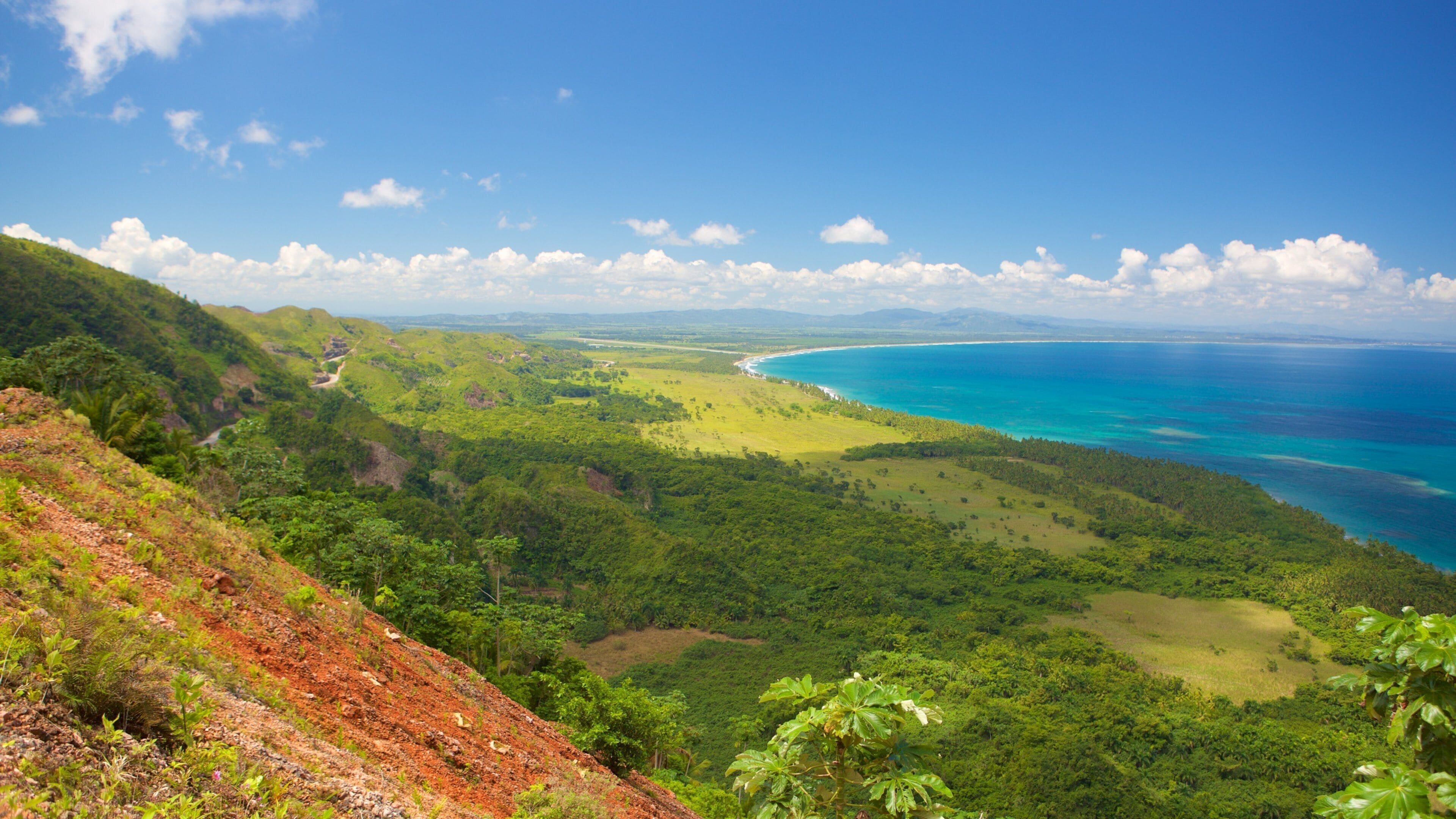 A coastal landscape with lush greenery, a winding road, and a clear blue sea.