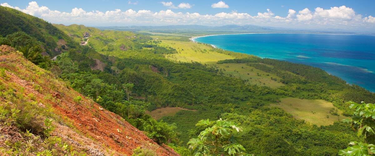 A coastal landscape with lush greenery, a winding road, and a clear blue sea.