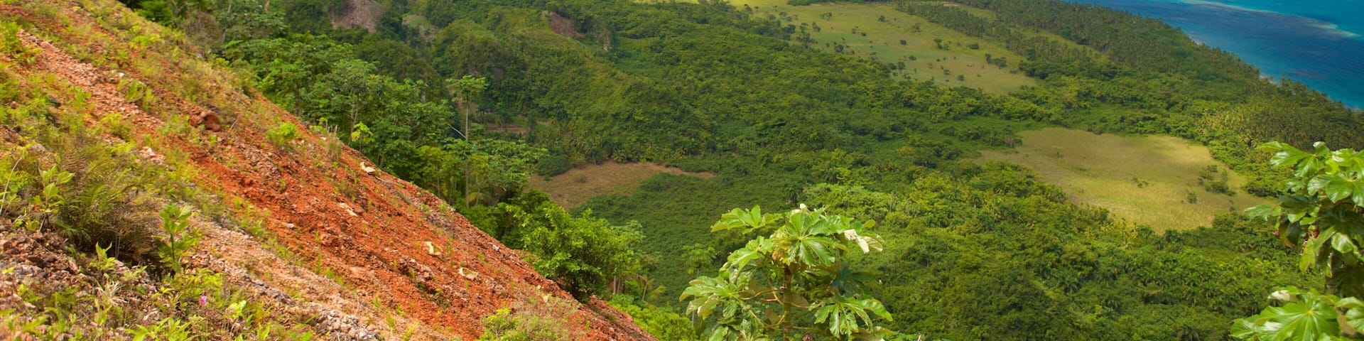A coastal landscape with lush greenery, a winding road, and a clear blue sea.