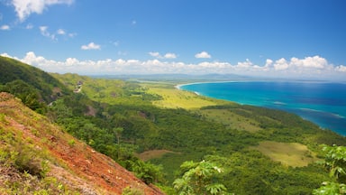Un paisaje costero con vegetación exuberante, un camino sinuoso y un mar azul cristalino.