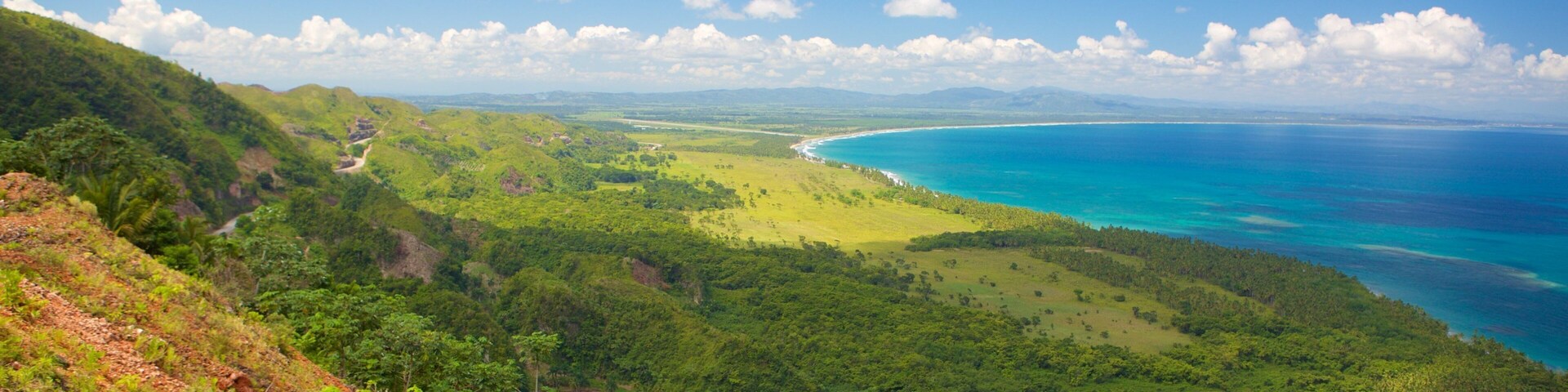 A coastal landscape with lush greenery, a winding road, and a clear blue sea.