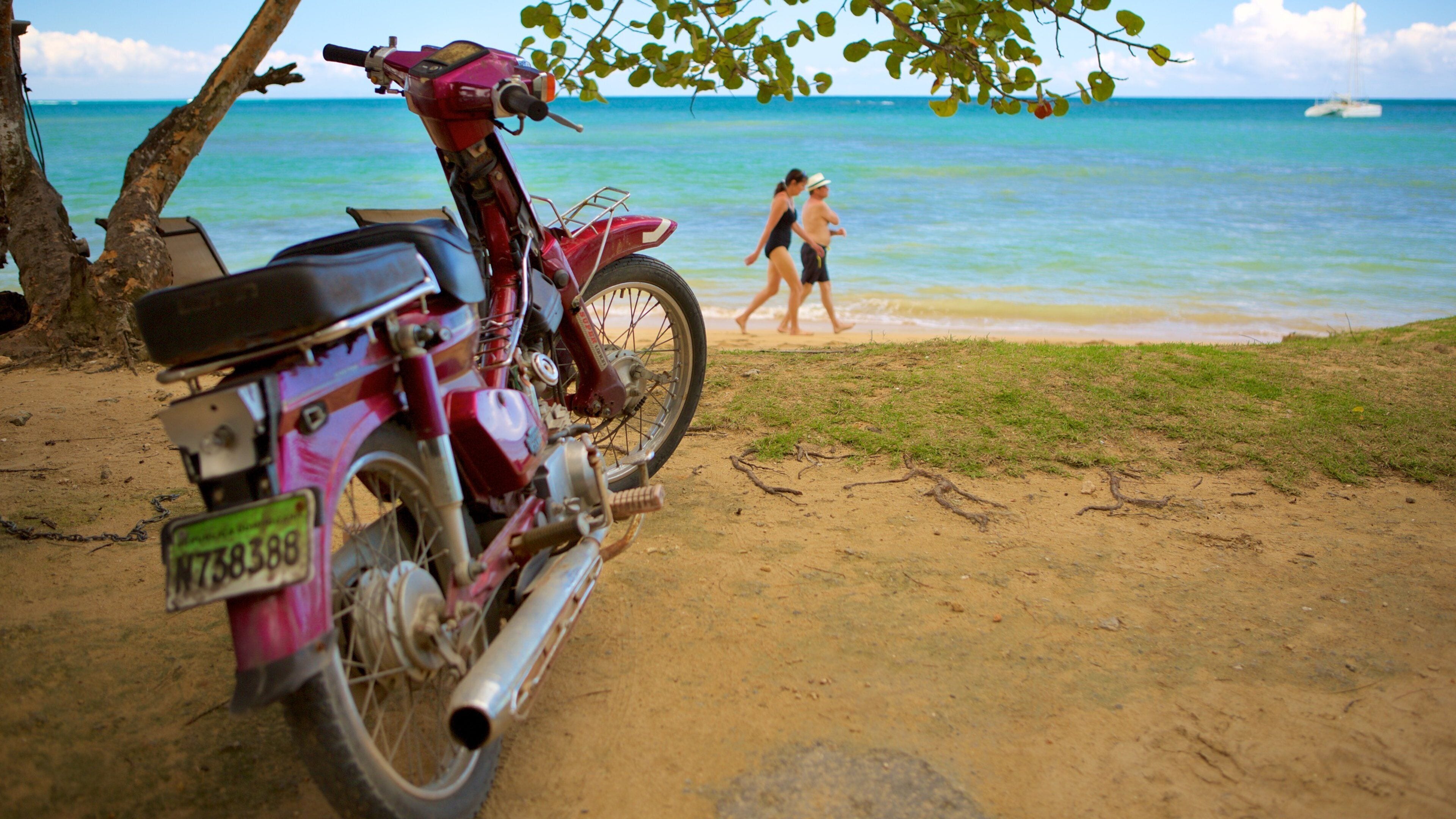 <h2>Top places to stay near the beach</h2>