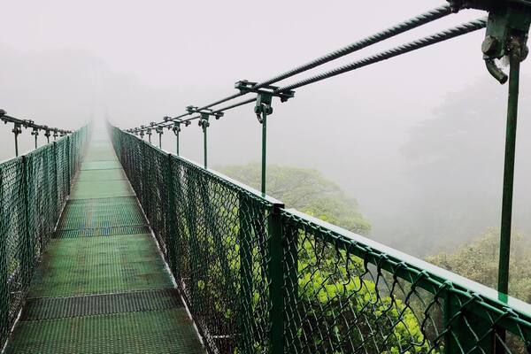 In the Monteverde area of Costa Rica there is a high altitude rainforest, the cloud forest. You can go hike the preserve as well as go to Selvatura where there are additional bridges. Lots of wildlife to see. Make sure you take good hiking shoes and a raincoat. Also, if you drive to the area, rent a high clearance vehicle with 4x4