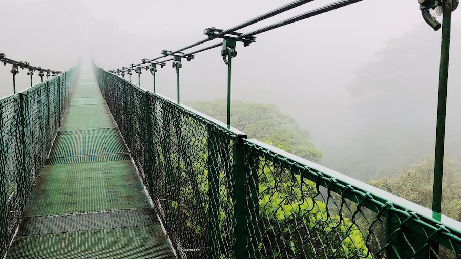 In the Monteverde area of Costa Rica there is a high altitude rainforest, the cloud forest. You can go hike the preserve as well as go to Selvatura where there are additional bridges. Lots of wildlife to see. Make sure you take good hiking shoes and a raincoat. Also, if you drive to the area, rent a high clearance vehicle with 4x4