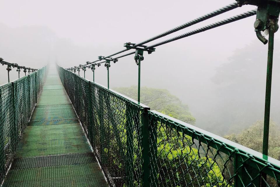 Un puente colgante con barandilla metálica verde y pasarela de malla.