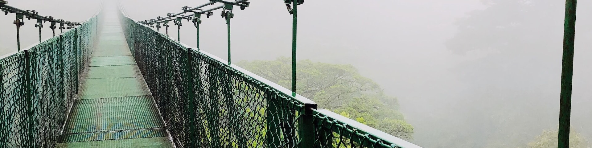 In the Monteverde area of Costa Rica there is a high altitude rainforest, the cloud forest. You can go hike the preserve as well as go to Selvatura where there are additional bridges. Lots of wildlife to see. Make sure you take good hiking shoes and a raincoat. Also, if you drive to the area, rent a high clearance vehicle with 4x4