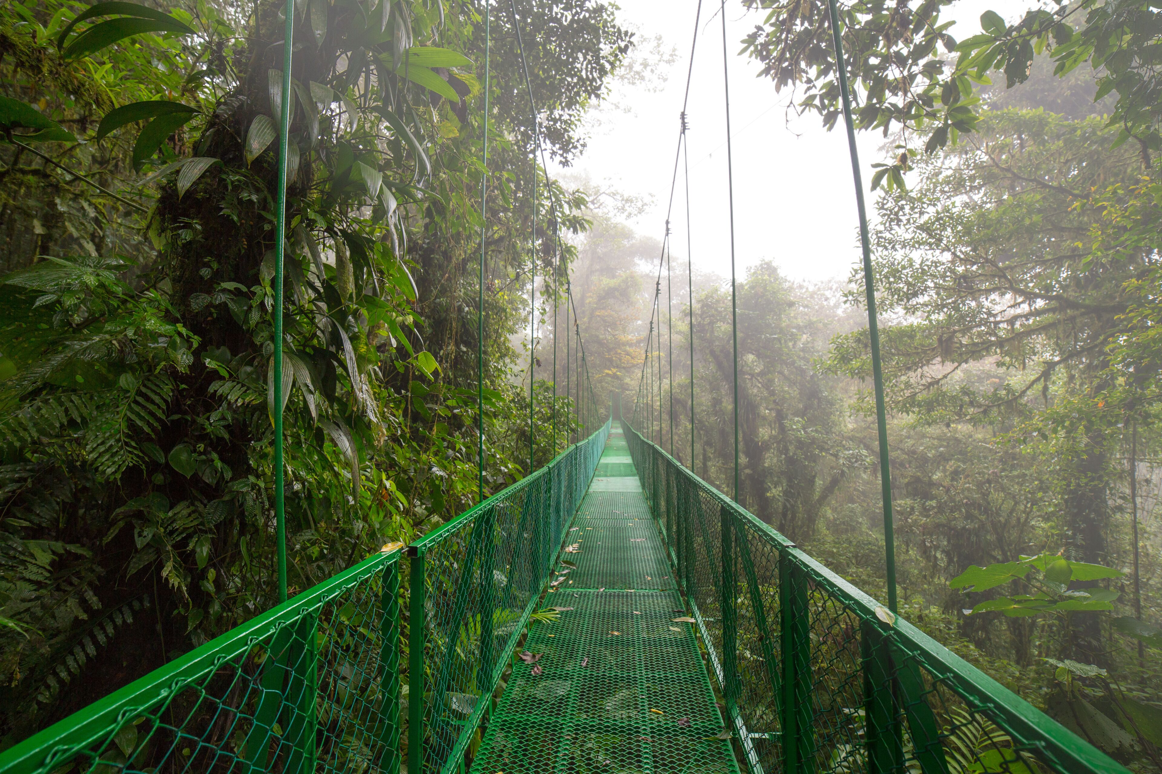 Monteverde Skywalk Costa Rica