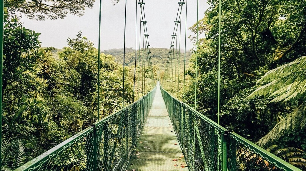 The longest hanging bridge at Selvatura in Monteverde among the Cloud Forest. How amazing this simple view is. Surrounded by greenery, wildlife, and CLOUDS is so cool! What better way to dive into Costa Rica?
#culture #costarica #travel