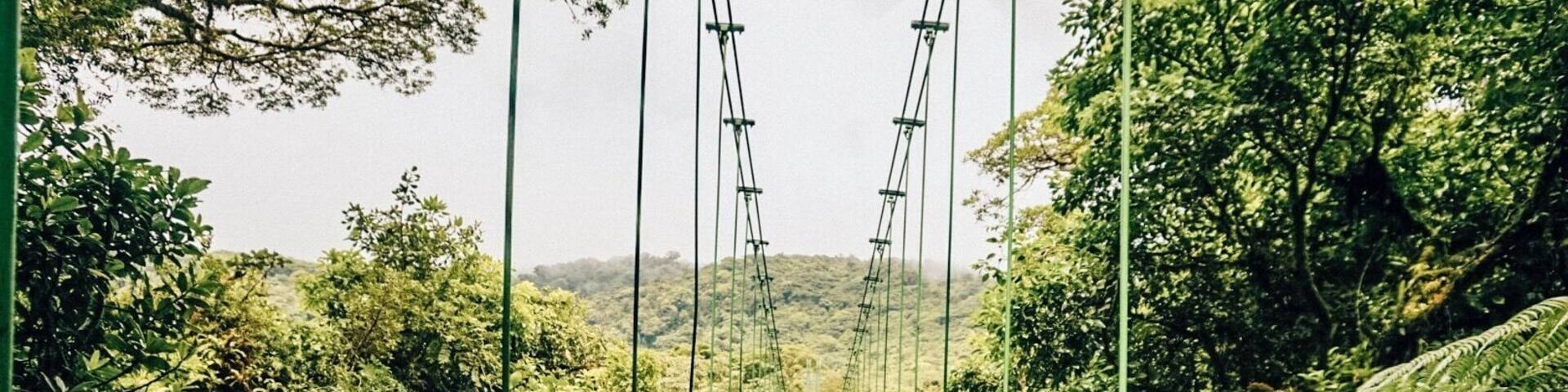 The longest hanging bridge at Selvatura in Monteverde among the Cloud Forest. How amazing this simple view is. Surrounded by greenery, wildlife, and CLOUDS is so cool! What better way to dive into Costa Rica?
#culture #costarica #travel