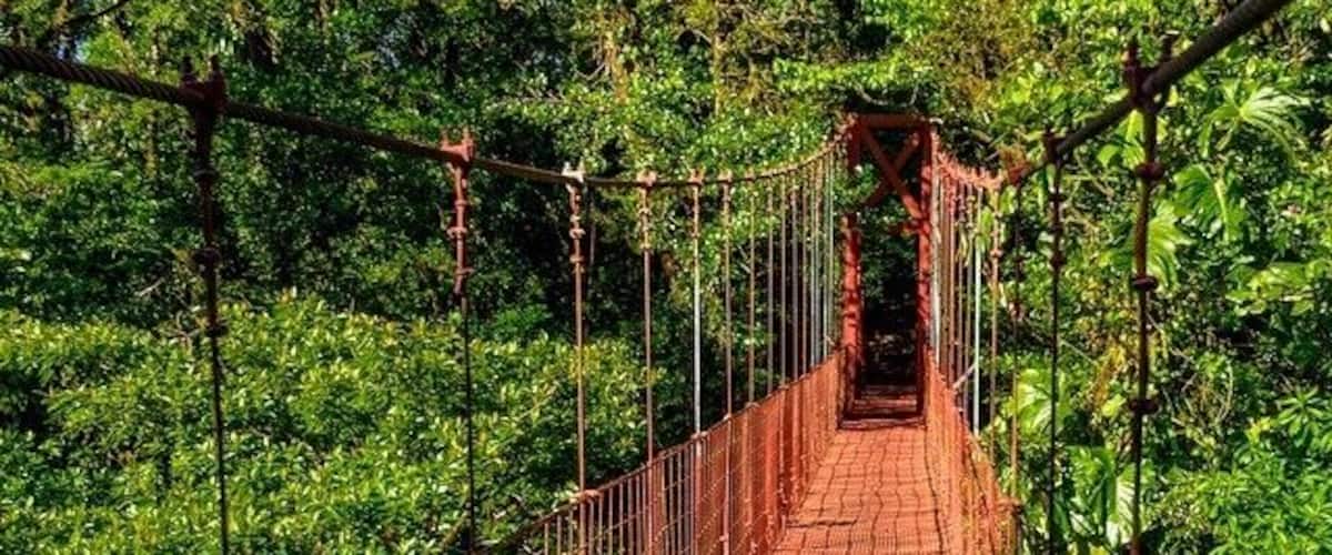 The picturesque red hanging bridge of Monteverde 👌 #costaricaphoto #monteverde #costarica #naturelovers #ig_nature #igtravel #travelingtheworld #explore #red #hangingbrigde #jungle #nature #adventure #thetwohobos #traveladdict #welovecostarica