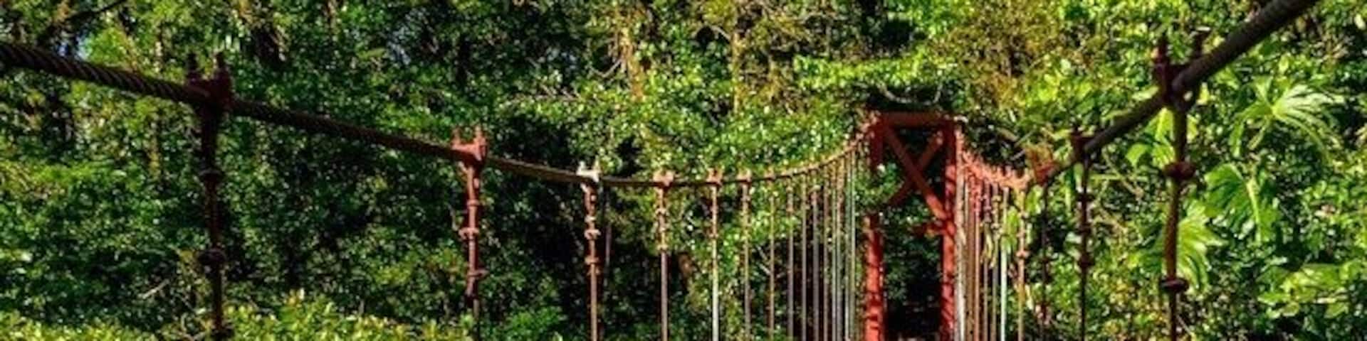 The picturesque red hanging bridge of Monteverde 👌 #costaricaphoto #monteverde #costarica #naturelovers #ig_nature #igtravel #travelingtheworld #explore #red #hangingbrigde #jungle #nature #adventure #thetwohobos #traveladdict #welovecostarica