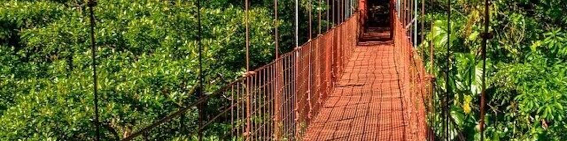 The picturesque red hanging bridge of Monteverde 👌 #costaricaphoto #monteverde #costarica #naturelovers #ig_nature #igtravel #travelingtheworld #explore #red #hangingbrigde #jungle #nature #adventure #thetwohobos #traveladdict #welovecostarica