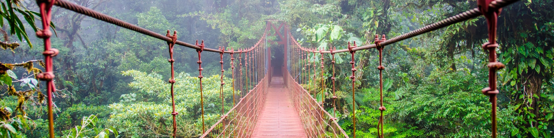 Bridge in Rainforest - Costa Rica - Monteverde