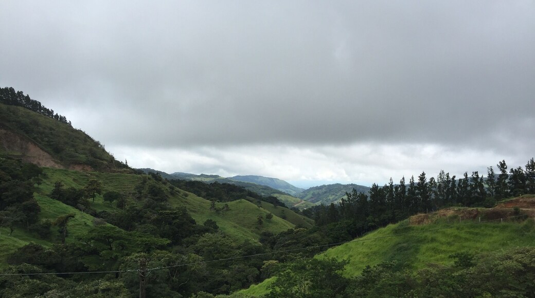 The first view of a long drive to the volcano.
#nature