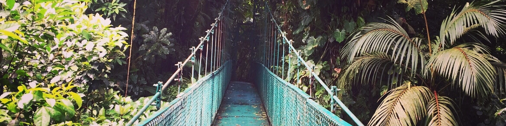 You can see all the green of the nature in Costa Rica (plus there is an awesome canopy trail too! Must try.)